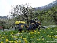Motorrad Tour Südnorwegen auf BMW F800GS