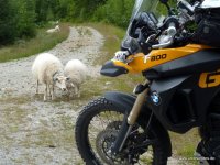 Telemark Motorrad Tour Norwegen BMW F800GS