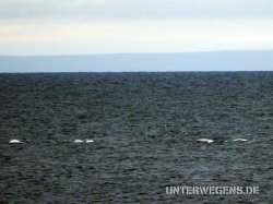 Nordkap Enduro Tour 2011 - Barentsee mit dem Motorrad