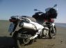 Suzuki Feewind XF650 - NEU