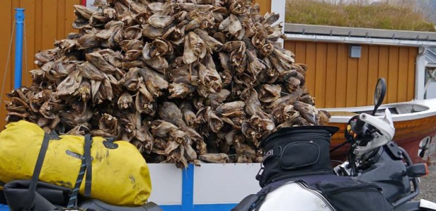 Nordkapp 2011 Tag 9 (337km): Stockfisch auf den Lofoten Neben dem Nordkap habe ich mich schon sehr auf die Lofoten gefreut. Ist dieses Archipel mit seinem Klima und den Felswänden doch legendär. Vielleicht erreiche ich heute auch noch eine...